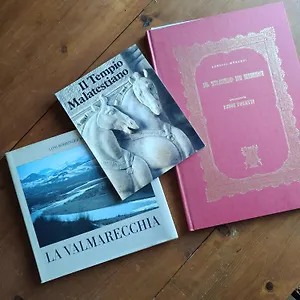 book here